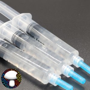 isolated syringe Hanoi
