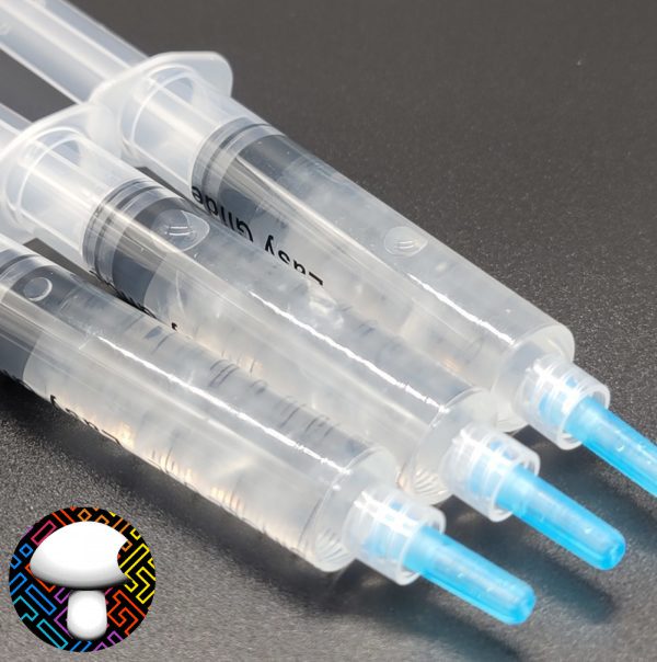 isolated syringe Hanoi