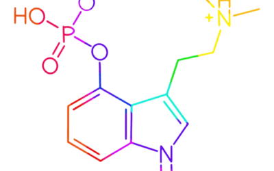 What is Psilocybin?