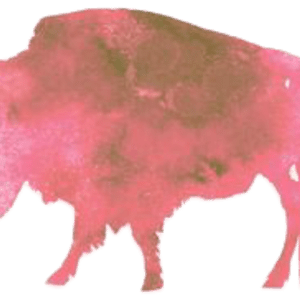 Pink Buffalo