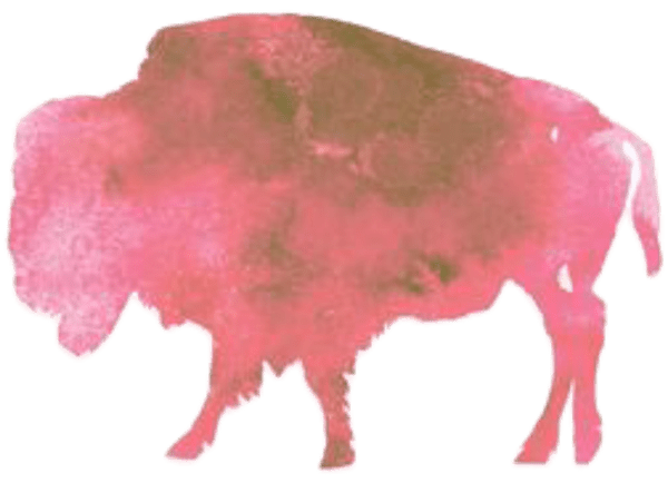 Pink Buffalo