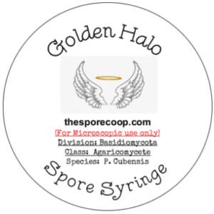 Golden Halo Spore Syringe