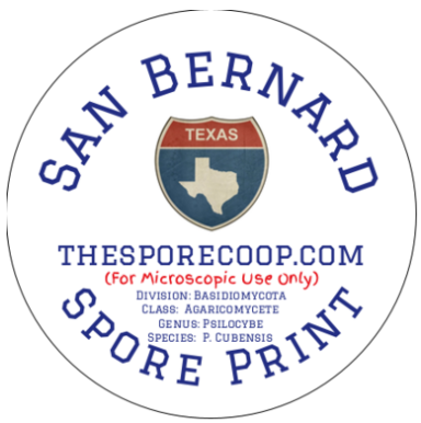 San Bernard Spore Print wild Texas mushroom spore print