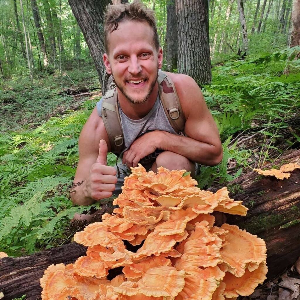 A forager finding Chicken Of The Woods mushrooms