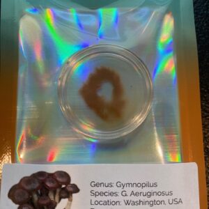 Gymnopilus Aeruginosa, Wild, Spores, Spore, Spore Print, Landrace