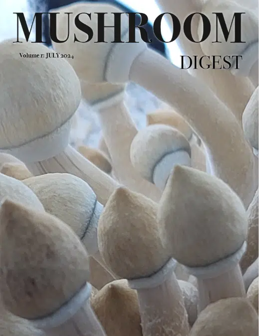 Mushroom Digest Vol: 1 July 2024