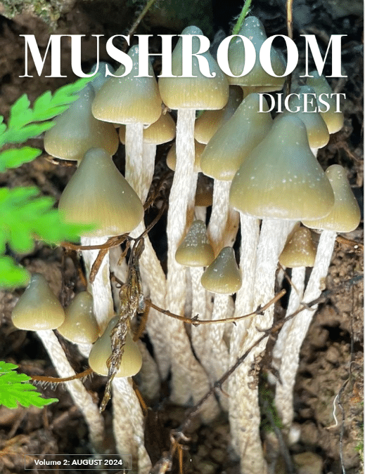 Mushroom Digest Vol. 2 August 2024