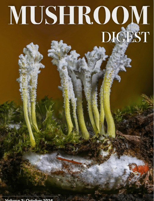 Mushroom Digest Volume 3