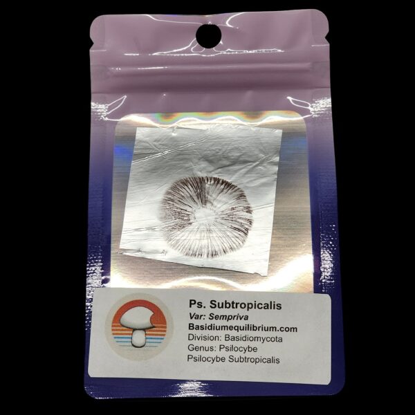 P.s. Subtropicalis Variation - Sempriva, Image of spore print for sale in mylar packaging