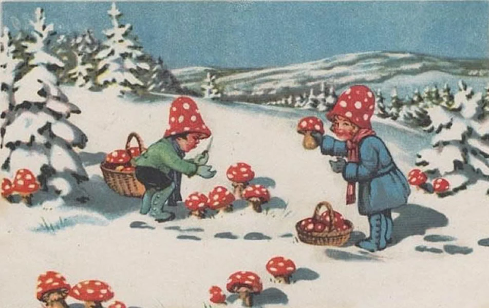 Amanita Muscaria: A Journey Through Yuletide Lore